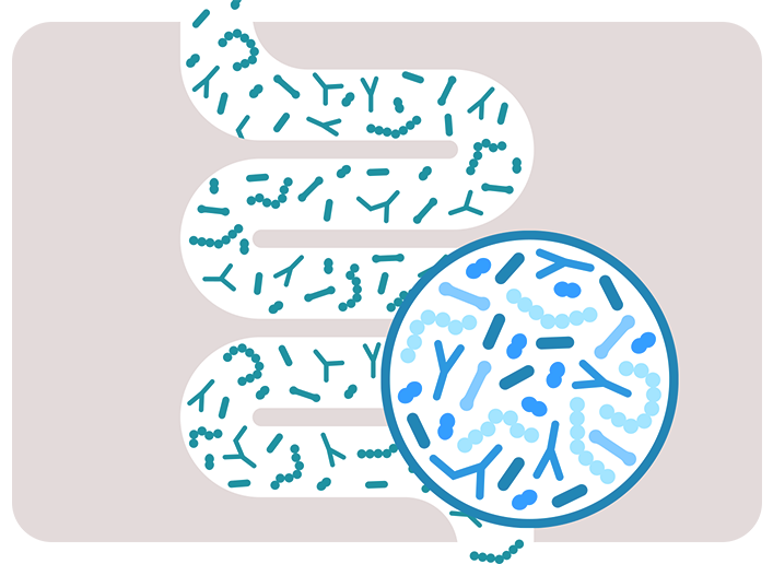 purina-one-image-card-microbiota-intestinal.png