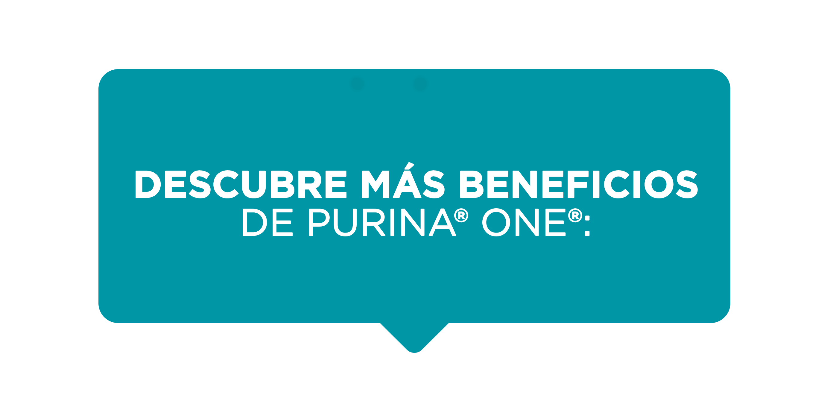 purina-one-image-descubre-beneficios.png