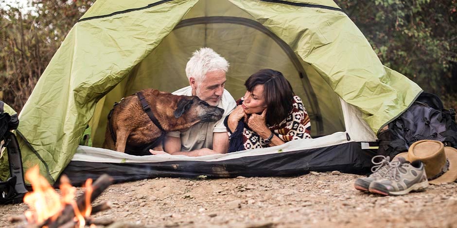 Perros para adultos mayores en un camping Perros para adultos mayores en un camping