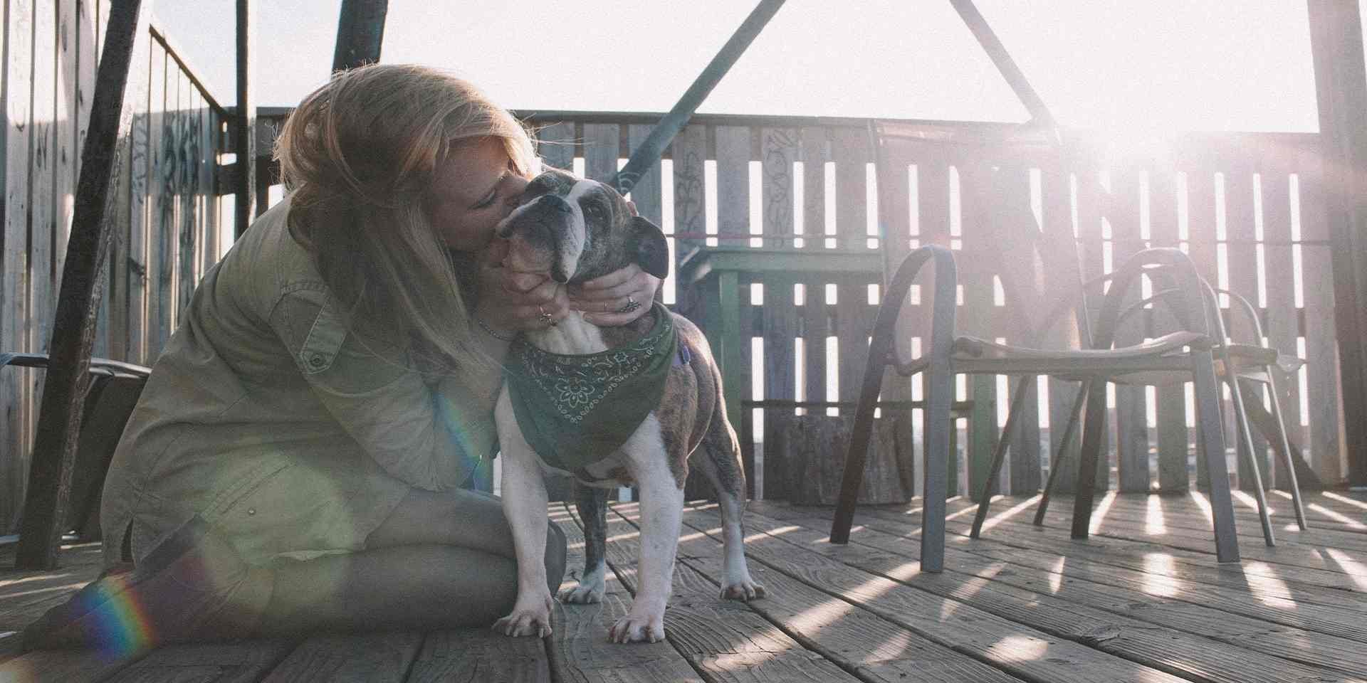 Purina El poder de las mascotas