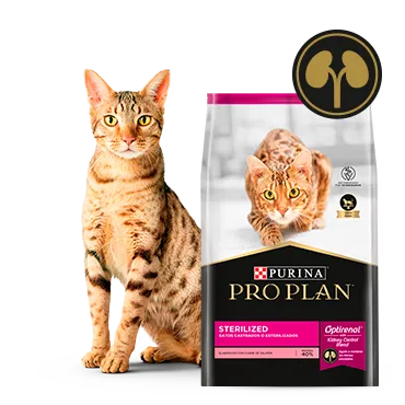 Purina%C2%AE-Proplan%C2%AE-Optirenal.png.webp?itok=wCml3NcG