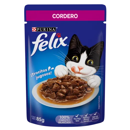 felix-cordero-frente.png.webp?itok=aRnN3gZi