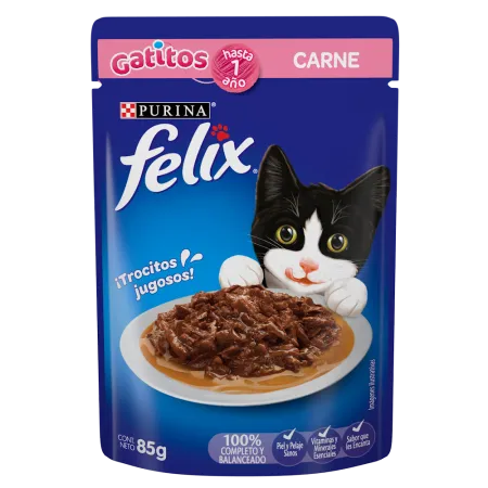 felix-gatitos-carne-frente.png.webp?itok=hMqdMZDN