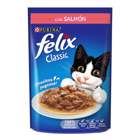 salmon_felix.png.webp?itok=WN76EstR