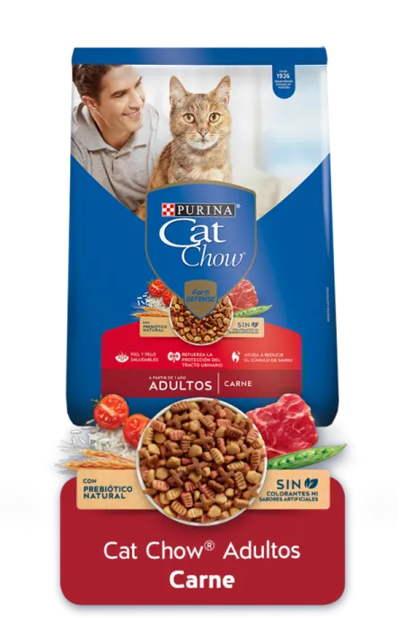 Cat-Chow%C2%AEAdultos-Carne.png.webp?itok=bJILmw_w