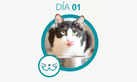 One-Cambios-dia-01_0.png.webp?itok=sw9VMTq9 One-Cambios-dia-01_0.png.webp?itok=sw9VMTq9