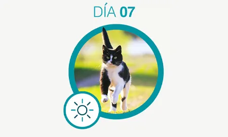 One-Cambios-dia-07_0.png.webp?itok=dcbzmCzz One-Cambios-dia-07_0.png.webp?itok=dcbzmCzz