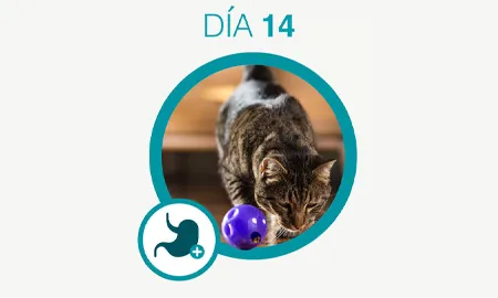 One-Cambios-dia-14_0.png.webp?itok=fsrKmKyo One-Cambios-dia-14_0.png.webp?itok=fsrKmKyo
