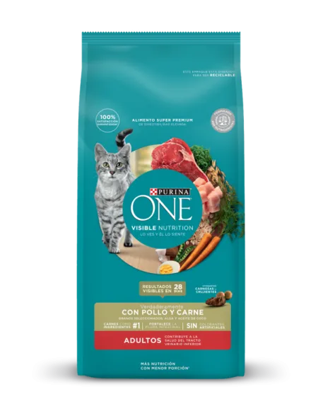 adultos_pollo_carne_one.png.webp?itok=JmDoetGC adultos_pollo_carne_one.png.webp?itok=JmDoetGC