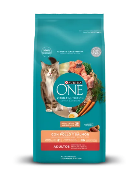 adultos_pollo_salmon_one.png.webp?itok=PUe6dDY1 adultos_pollo_salmon_one.png.webp?itok=PUe6dDY1