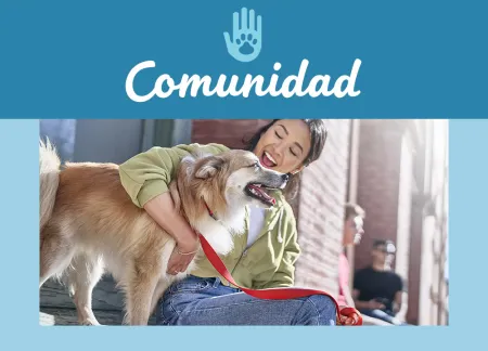 purina-img-community.jpg.webp?itok=O0hg96bf