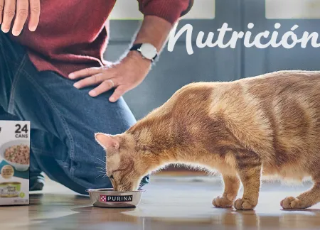 purina-img-cuidados-nutricion.jpg.webp?itok=o-Bzb9kS