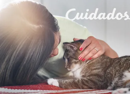 purina-img-cuidados.jpg.webp?itok=bbrd8Pin