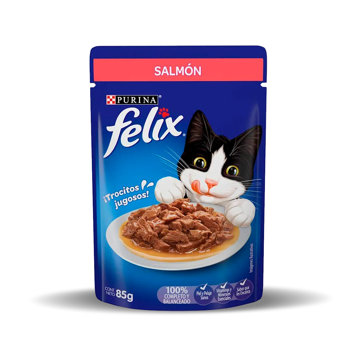 purina-felix-salmon-gatos-1