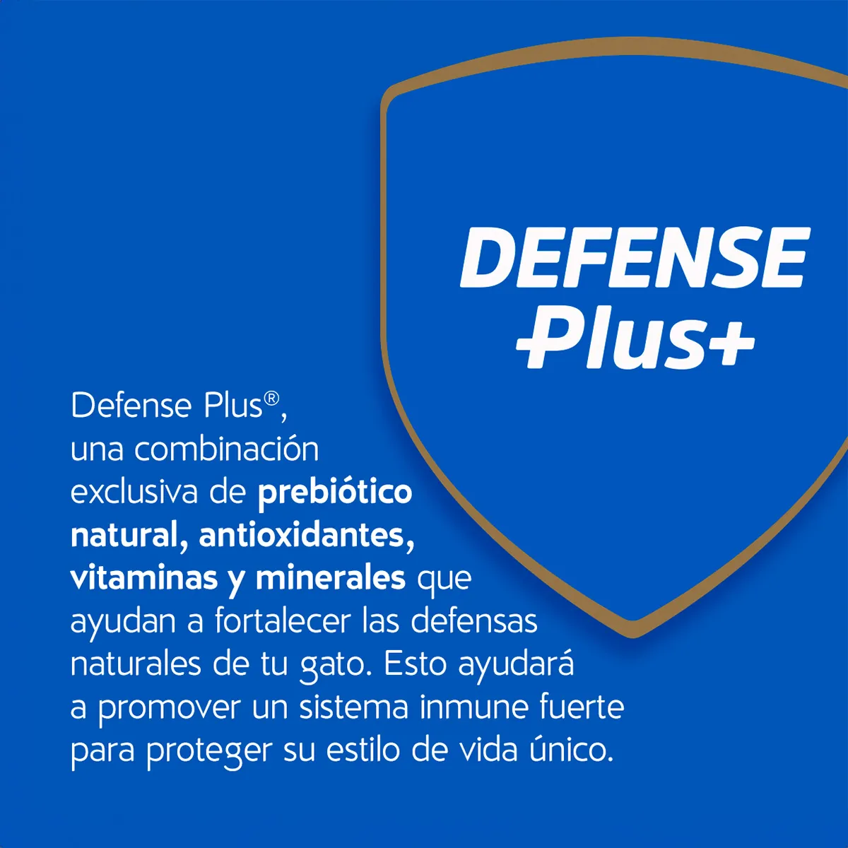 2. Defense Plus.jpg