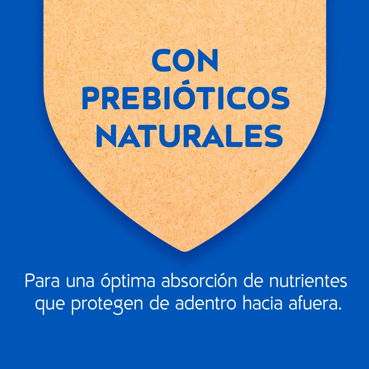 3. Prebioticos naturales.jpg