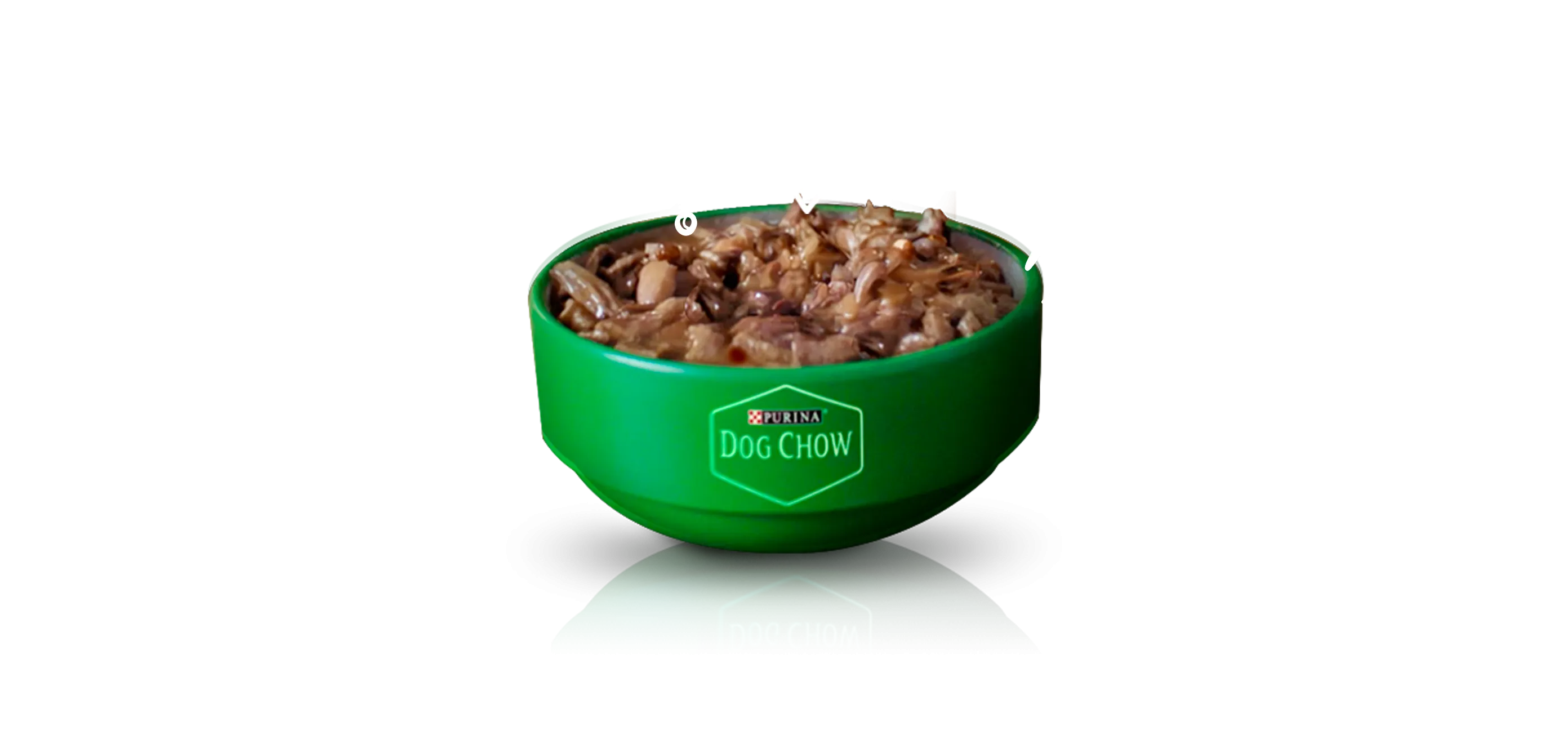 purina-dog-chow-bowl-wet.png
